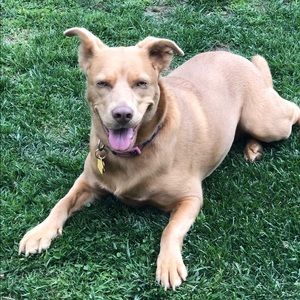 Meet your Posher, Mathew